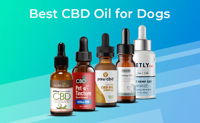 WHAT IS CANNABIDIOL OIL AND HOW IS IT USEFUL FOR DOGS?